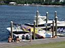 Run with the Dogs 2010 (162).JPG